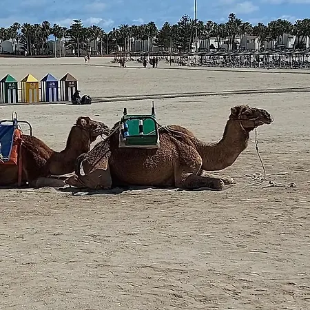 Ares Privada Con Jardin, Piscina Y Golf Semesterbostad