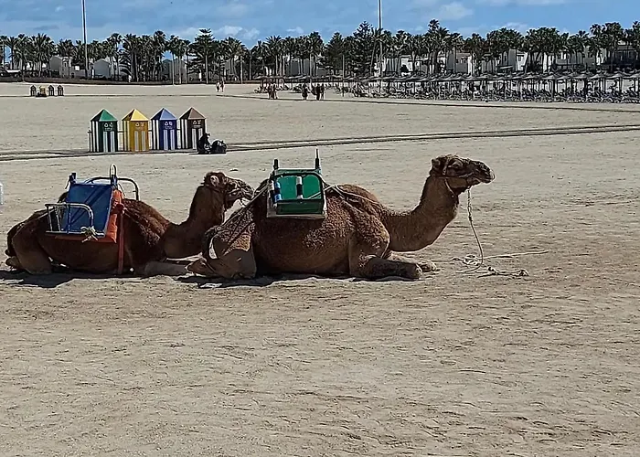 Ares Home Villa Privada Con Jardin, Piscina, Barbacoa Y Golf בית נופש